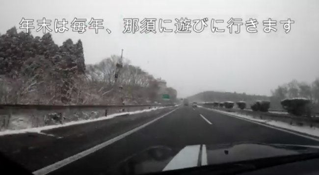 ラブラドールレトリーバー,動画