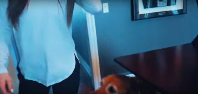 ゴールデンレトリーバー,動画