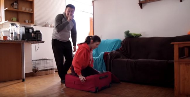 ゴールデンレトリーバー,動画