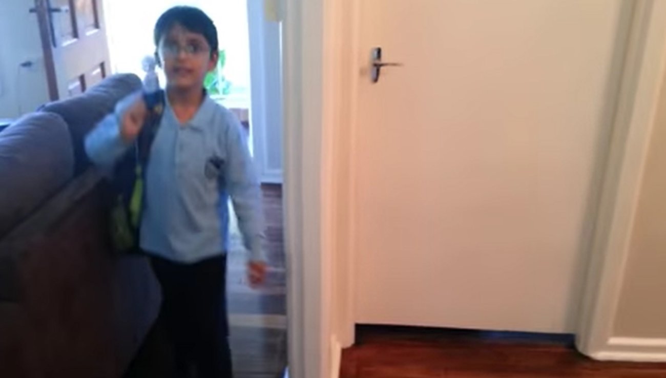 ラブラドールレトリーバー,動画