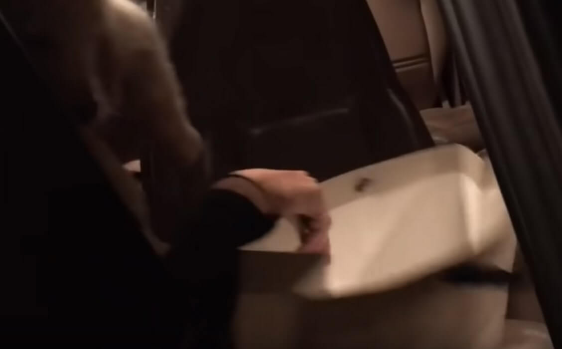 ゴールデンレトリーバー,動画