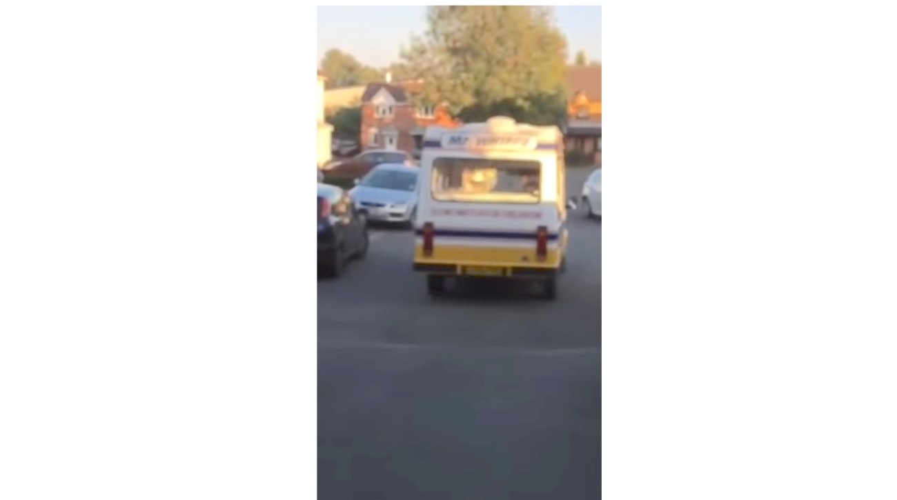 ゴールデンレトリーバー,動画