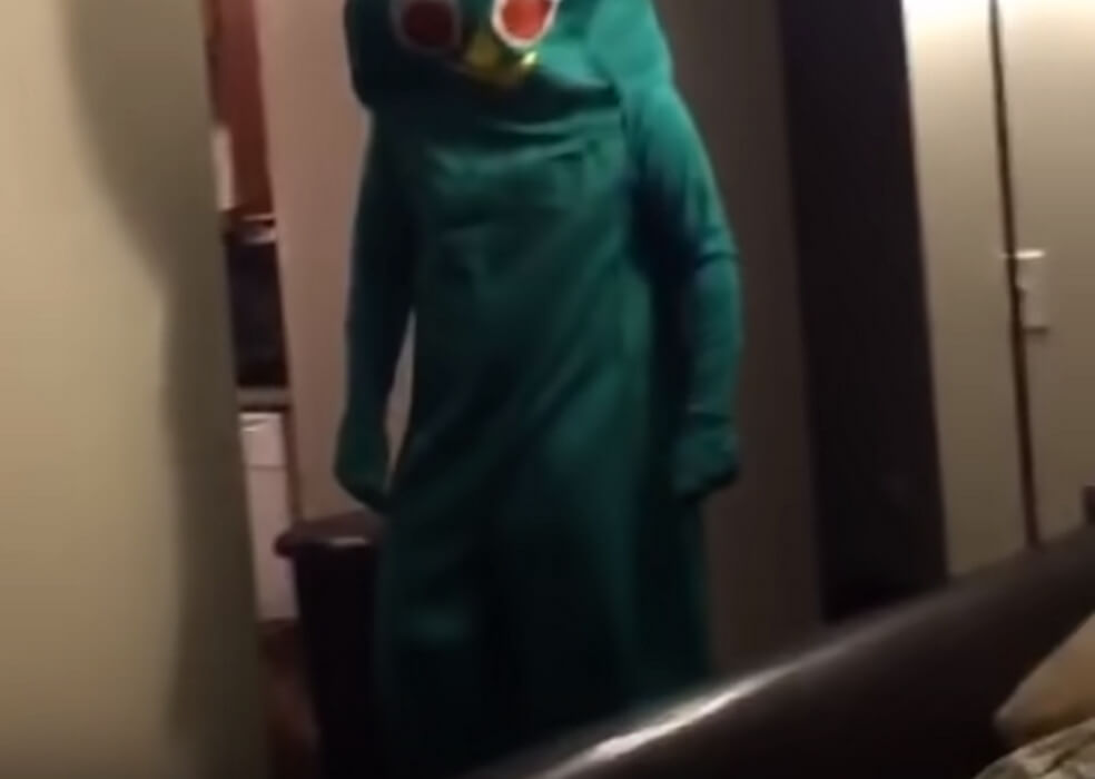 ゴールデンレトリーバー,動画