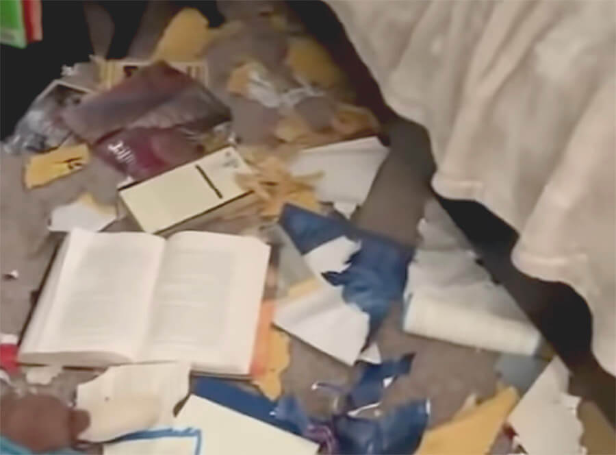 ゴールデンレトリーバー,動画