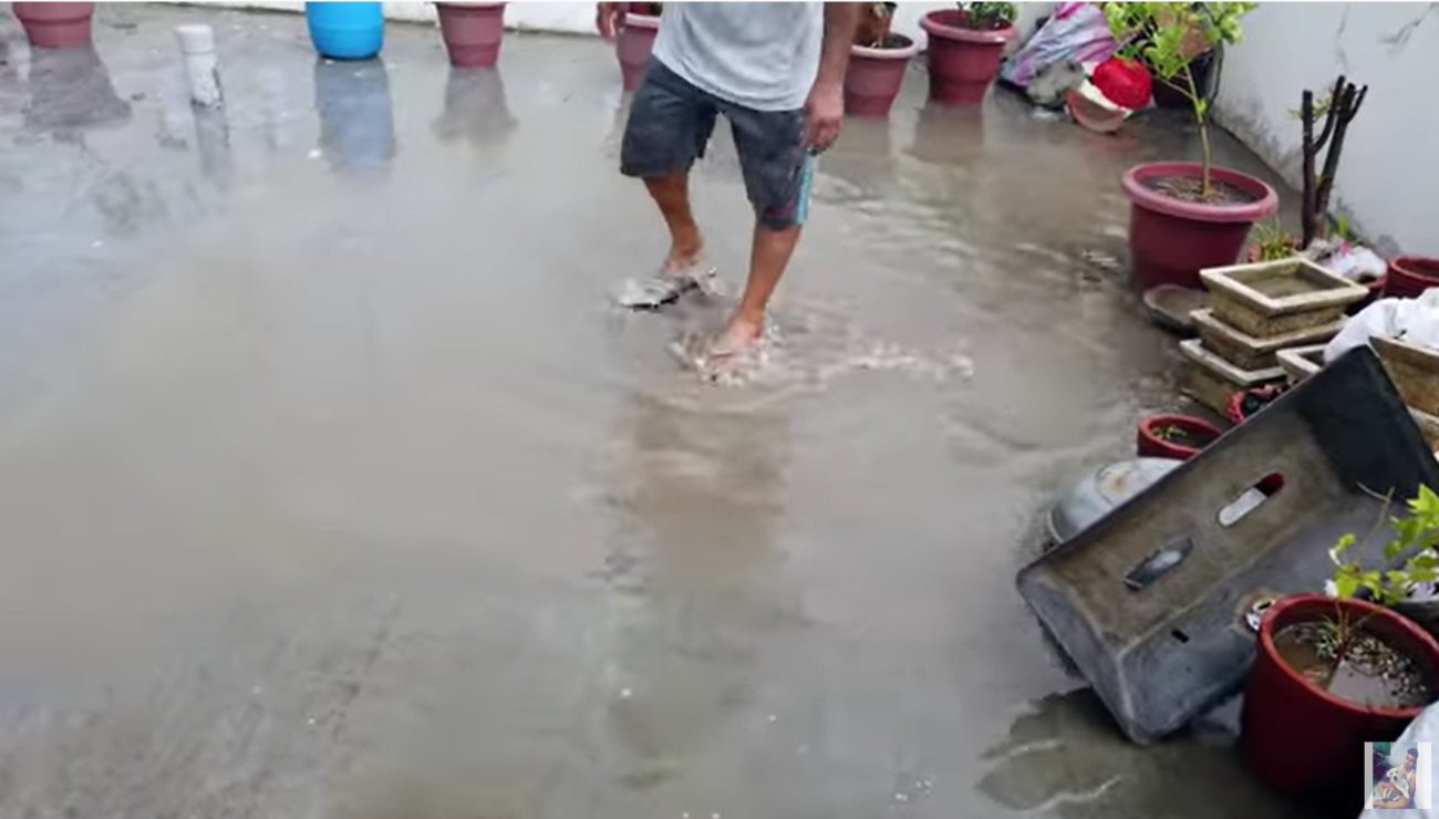 ラブラドールレトリーバー,動画