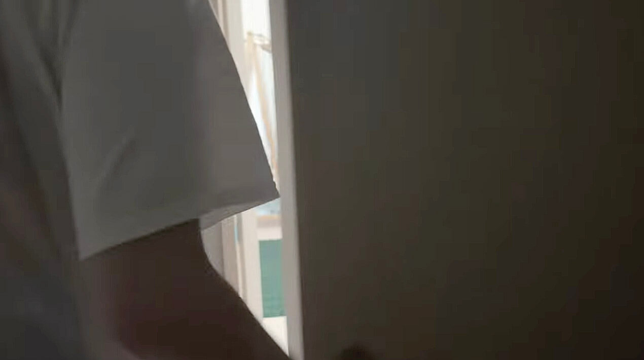 ゴールデンレトリーバー,動画