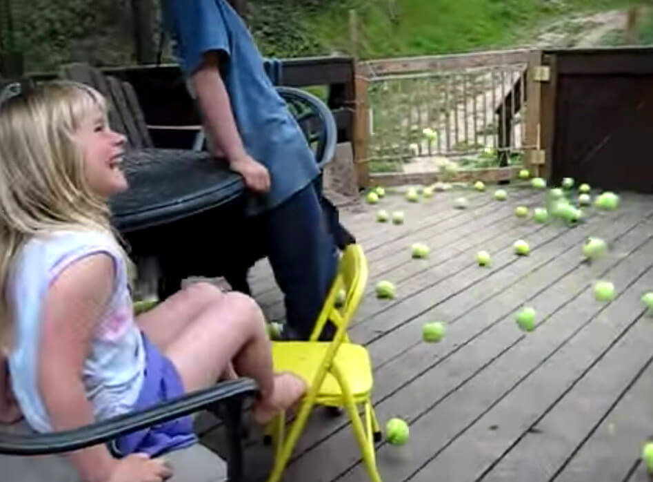 ラブラドールレトリーバー,動画