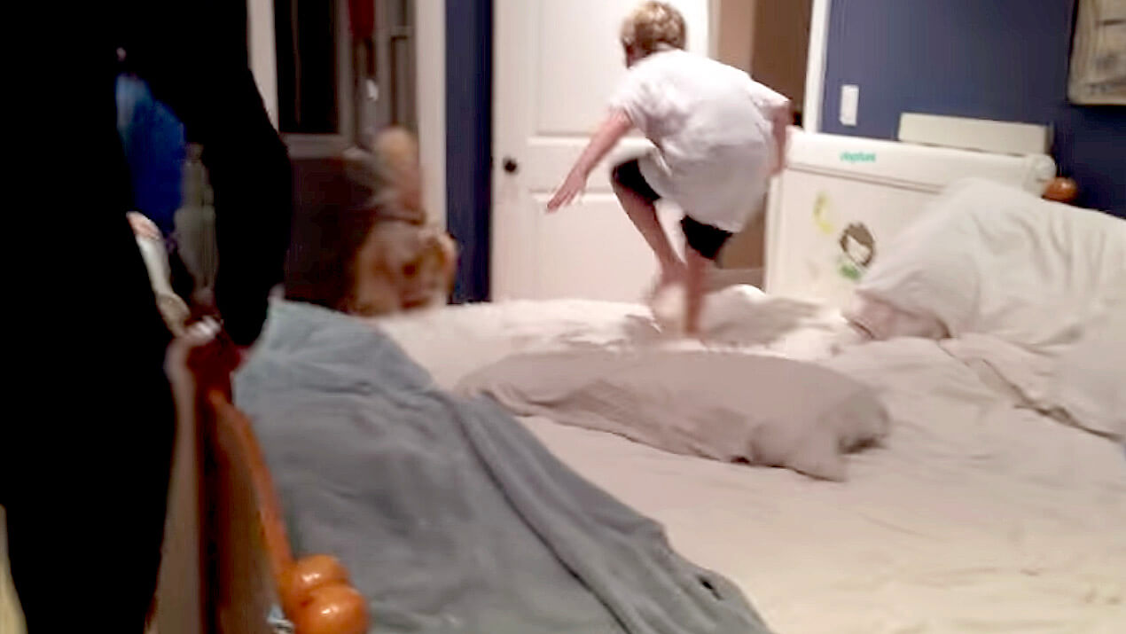 ゴールデンレトリーバー,動画