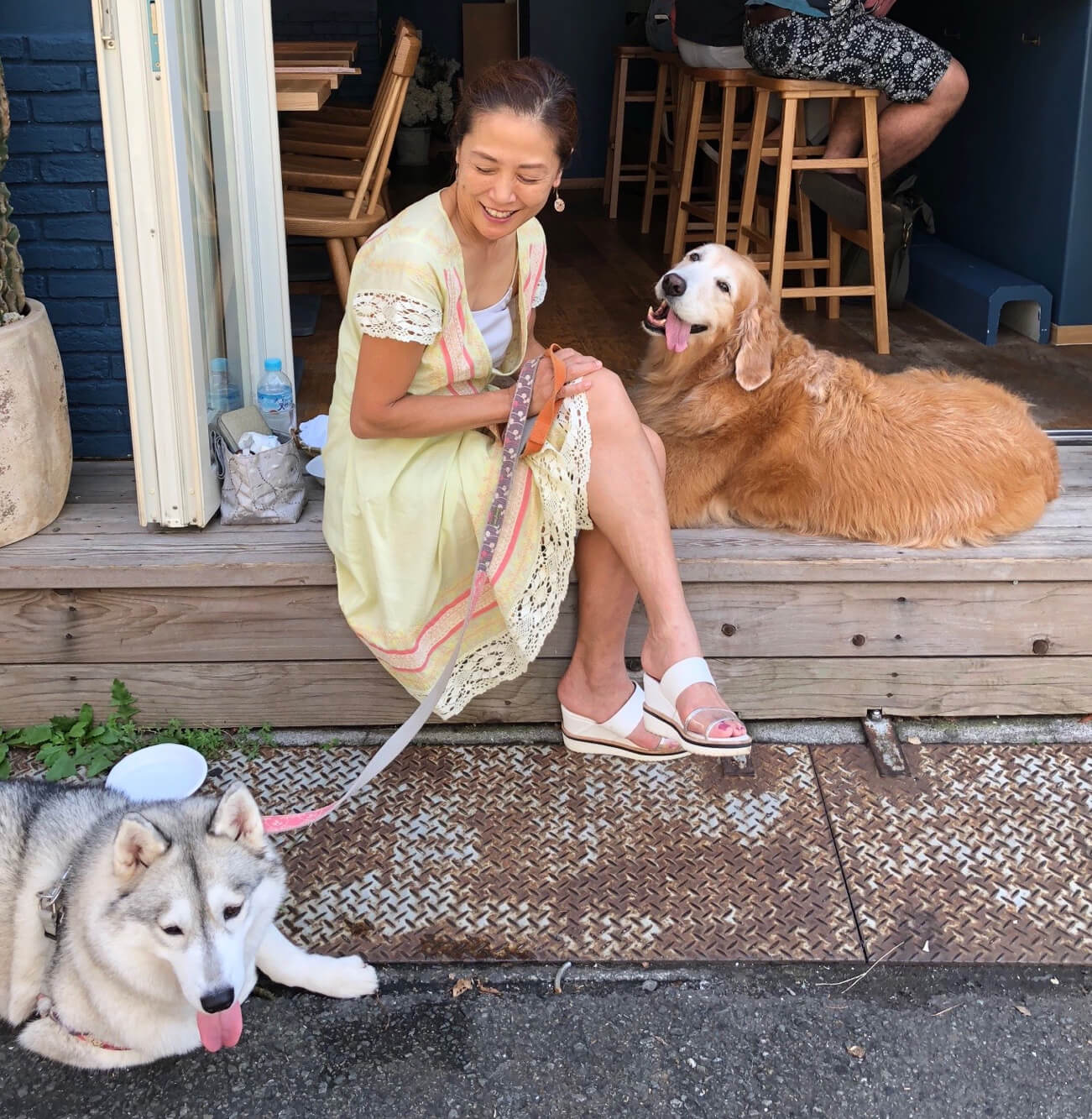 レトリーバー,ごはん