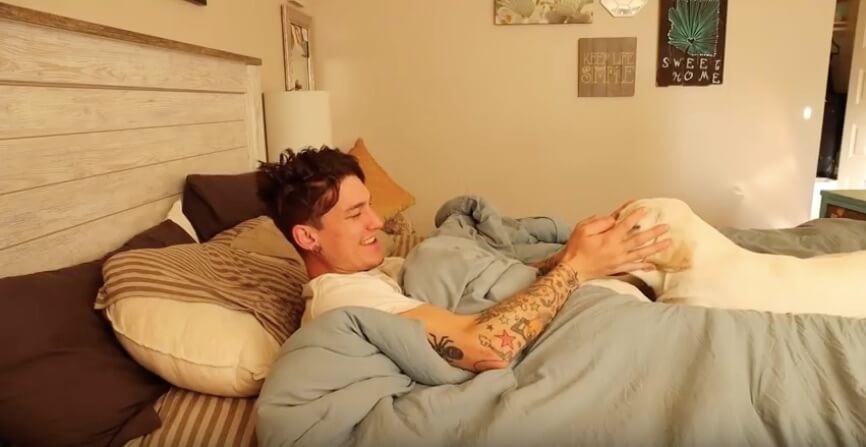 ラブラドールレトリーバー,動画