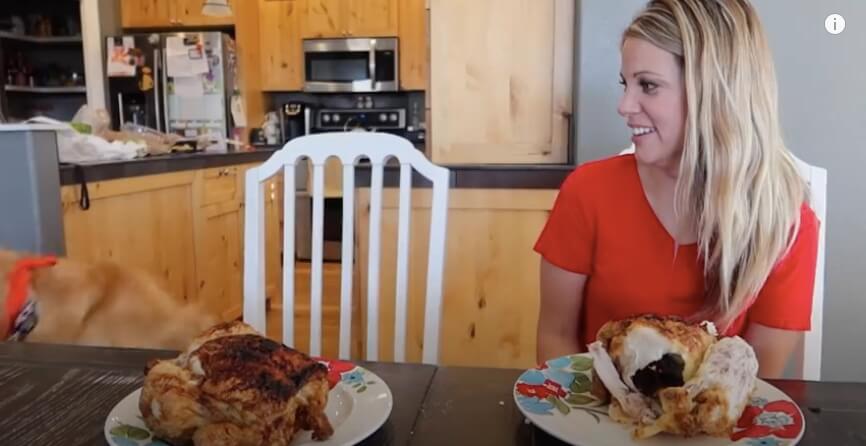 ゴールデンレトリーバー,動画