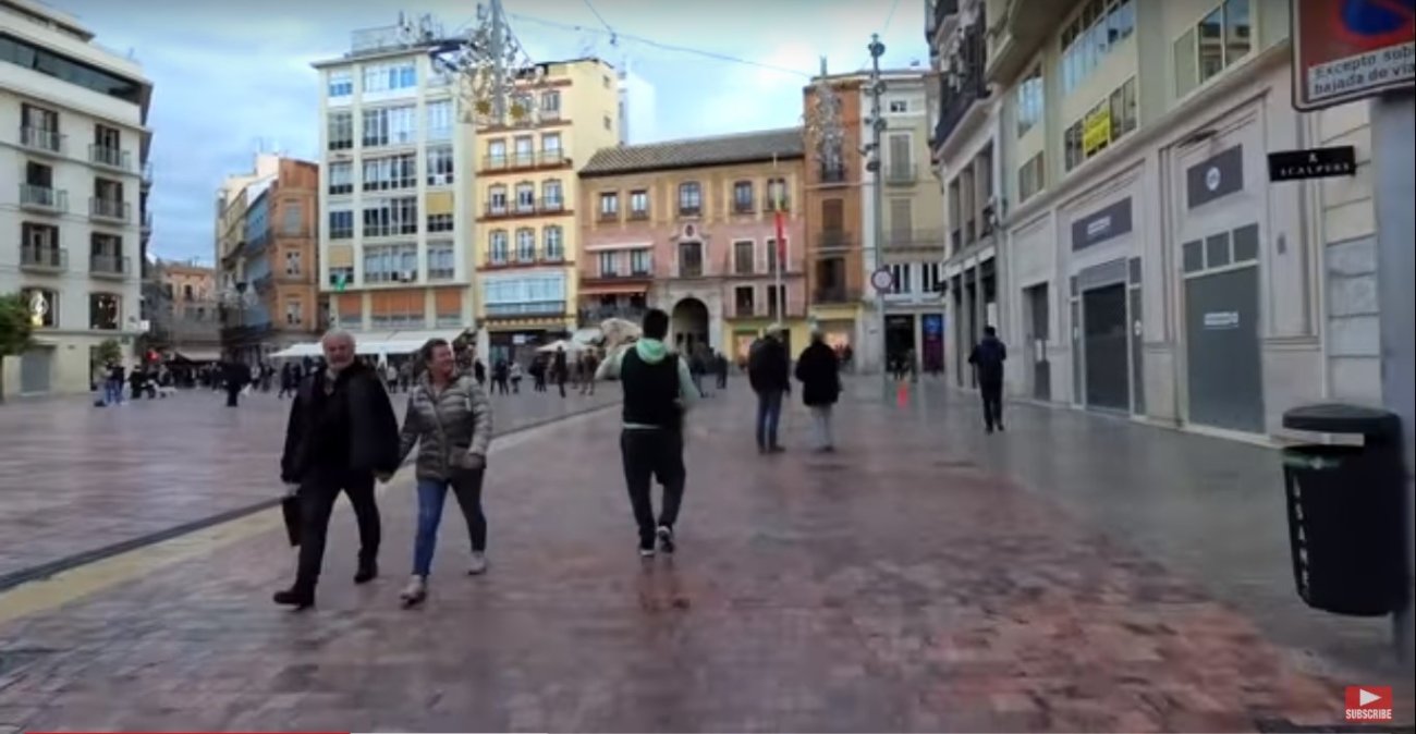 ゴールデンレトリーバー,動画