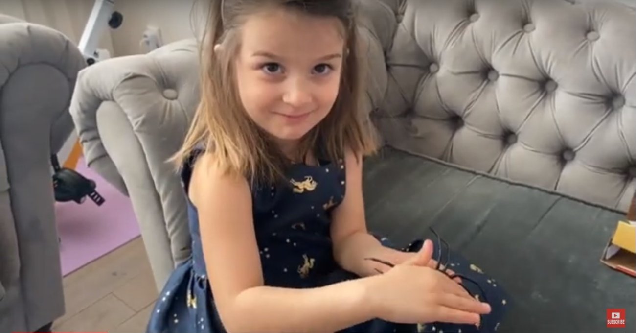 ラブラドールレトリーバー,動画