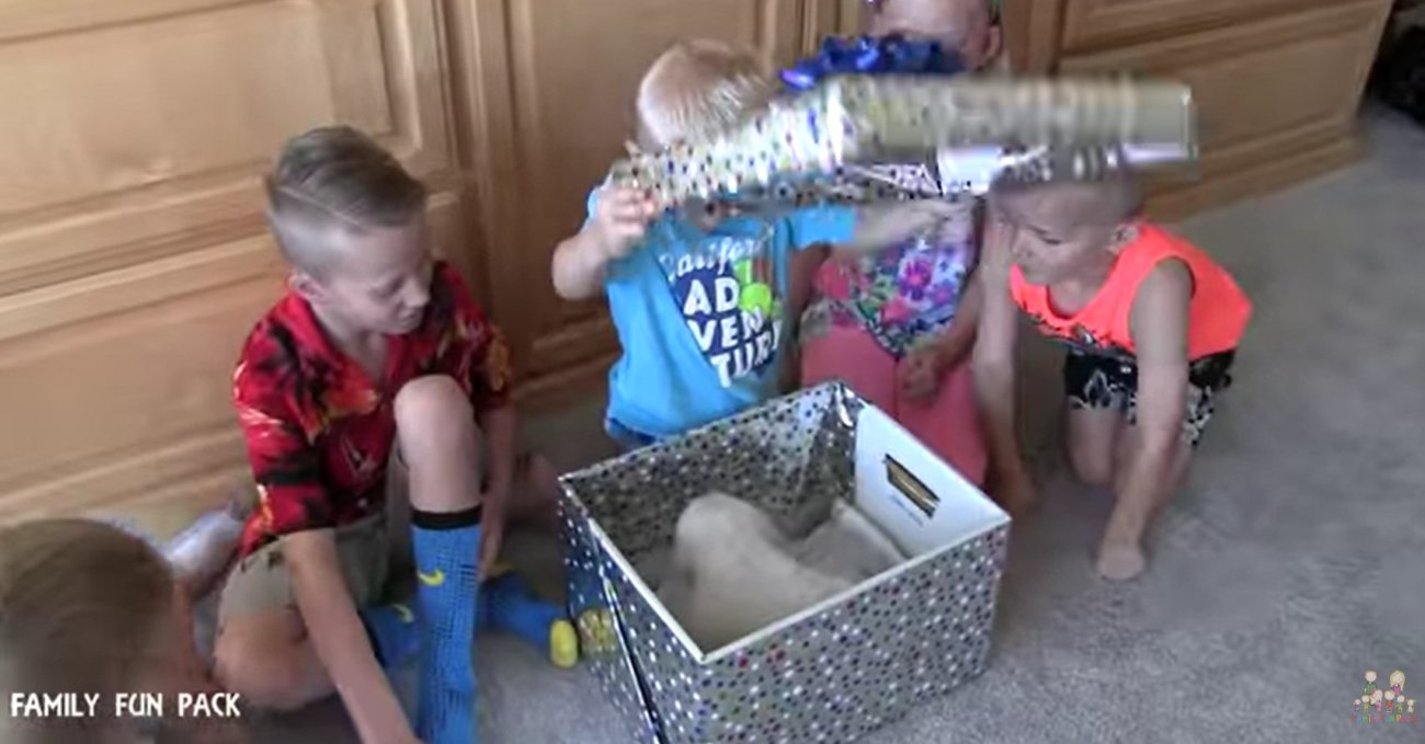 ゴールデンレトリーバー,動画