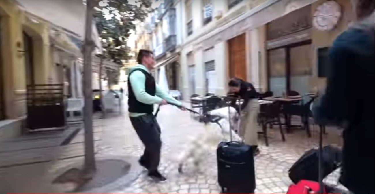 ゴールデンレトリーバー,動画