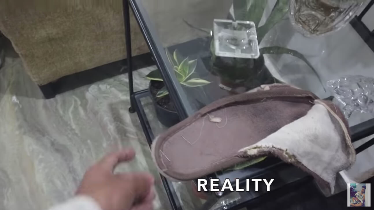 ラブラドールレトリーバー,動画