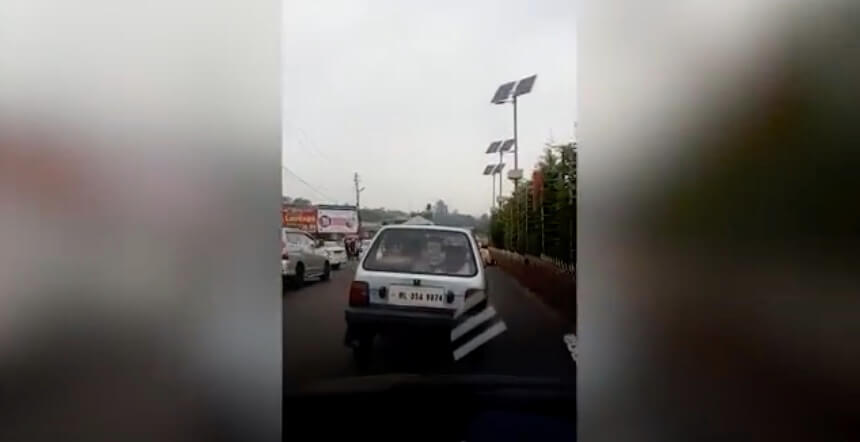 ラブラドールレトリーバー,動画