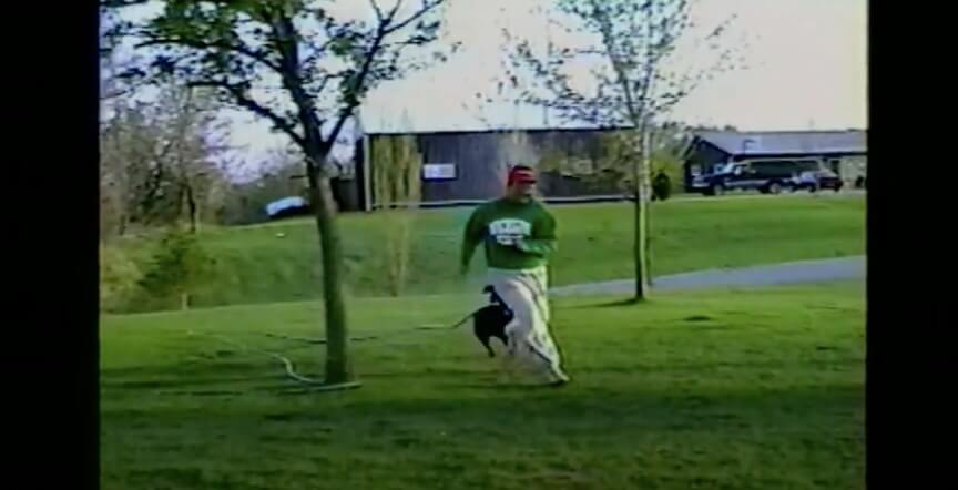 ラブラドールレトリーバー,動画