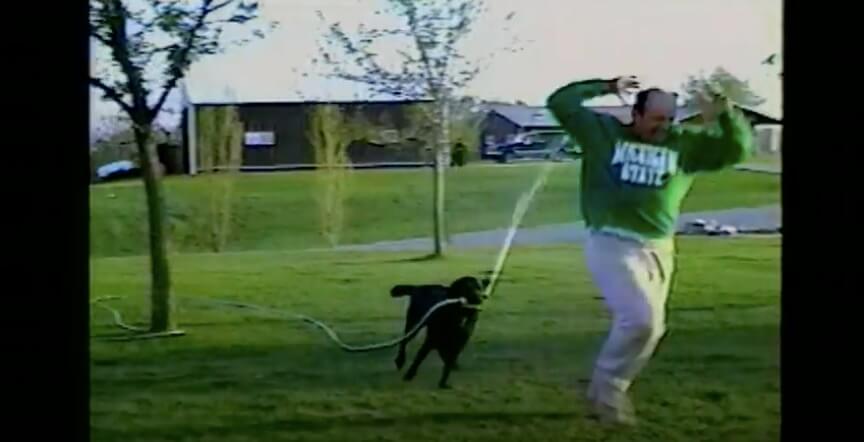 ラブラドールレトリーバー,動画