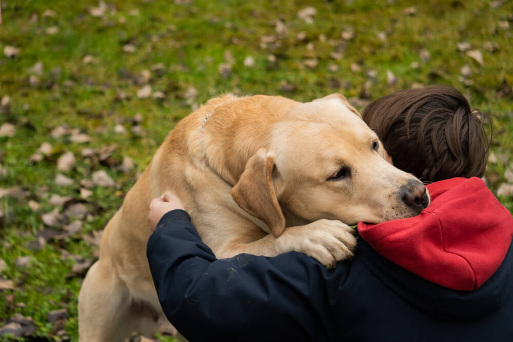 レトリーバー,マンボウやしろ