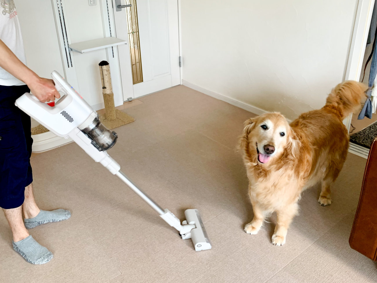 レトリーバー,パナソニック,掃除機,からまないブラシ