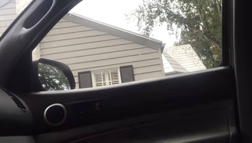 ラブラドールレトリーバー,動画