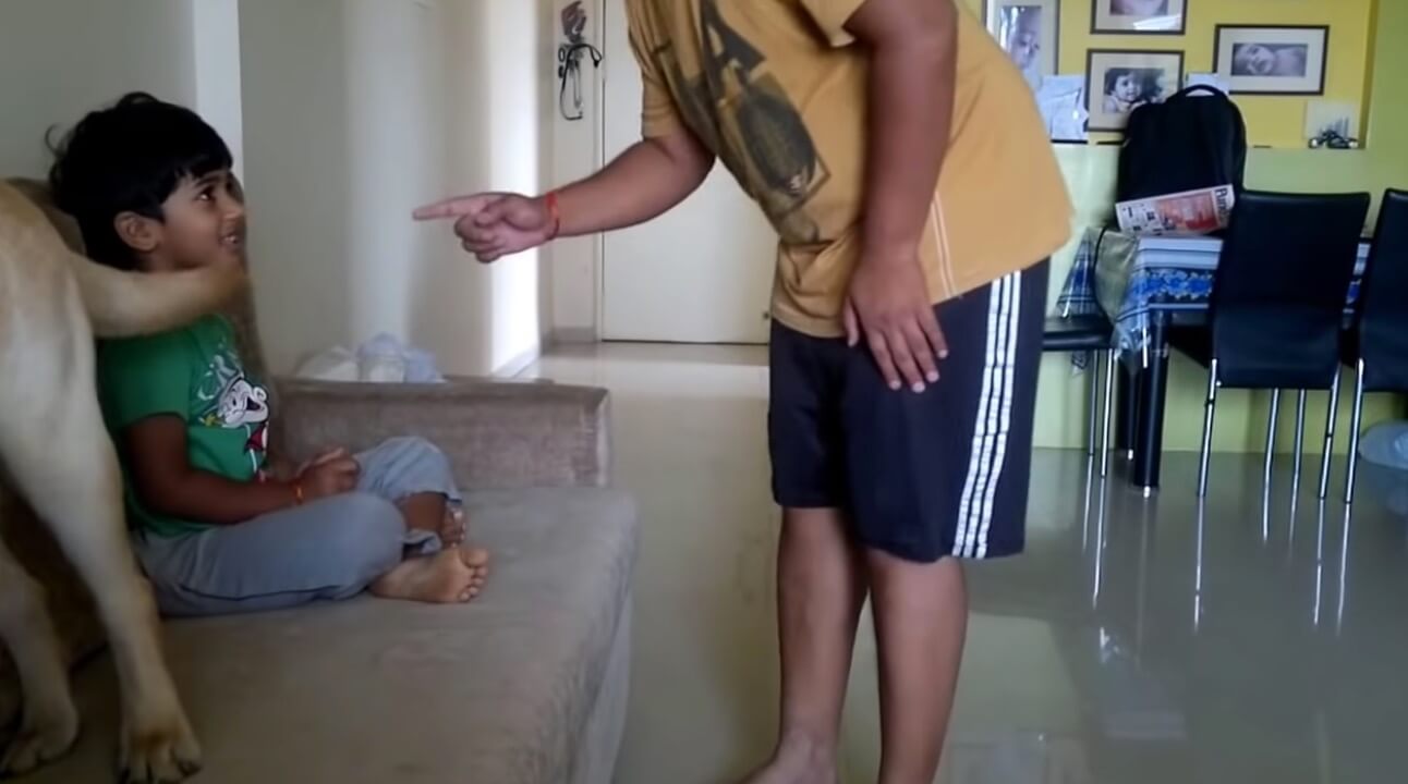 ラブラドールレトリーバー,動画