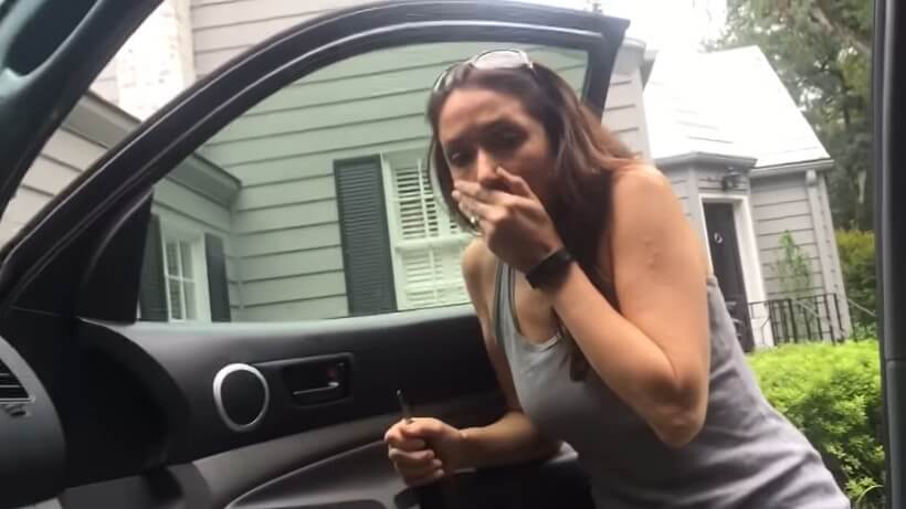 ラブラドールレトリーバー,動画