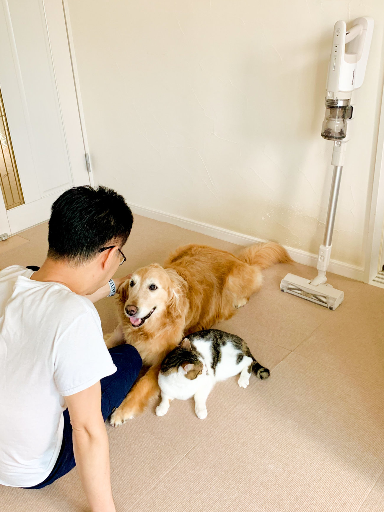 レトリーバー,パナソニック,掃除機,からまないブラシ