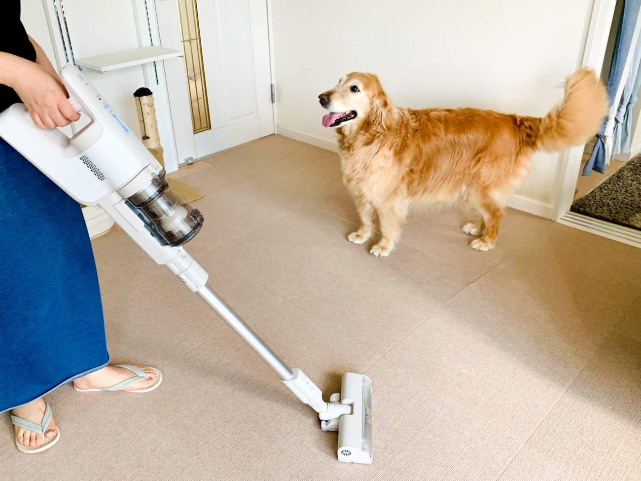 レトリーバー,パナソニック,掃除機,からまないブラシ