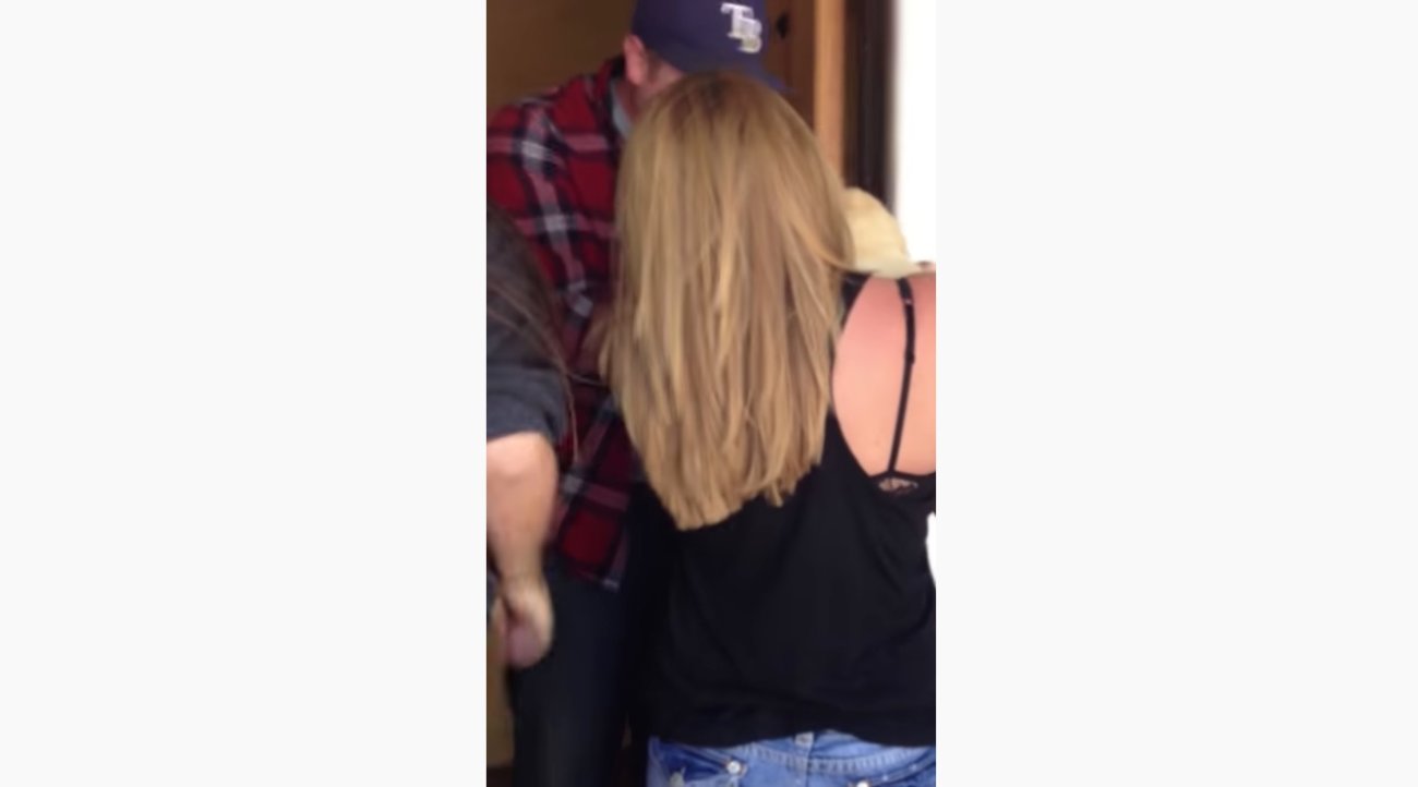 ラブラドールレトリーバー,動画