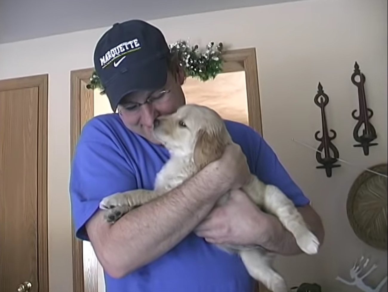 ゴールデンレトリーバー,動画