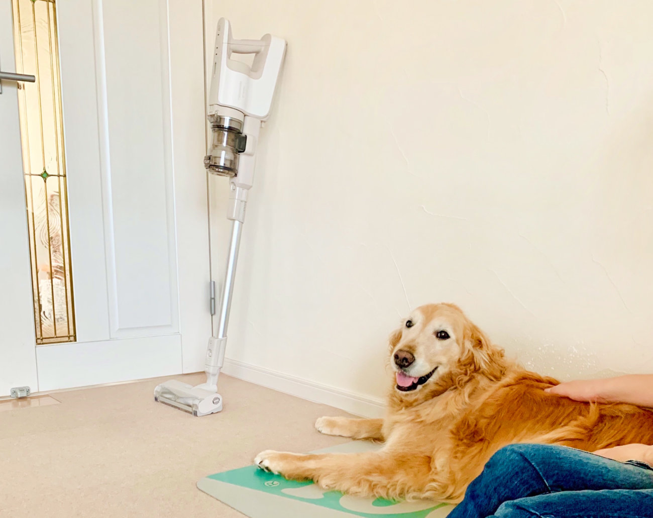 レトリーバー,パナソニック,掃除機,からまないブラシ