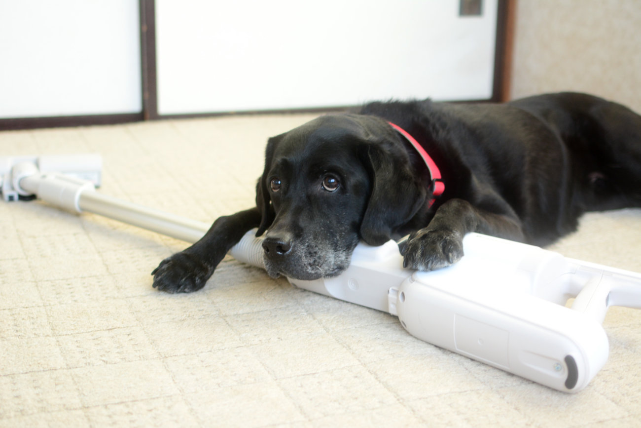レトリーバー,パナソニック,掃除機,からまないブラシ