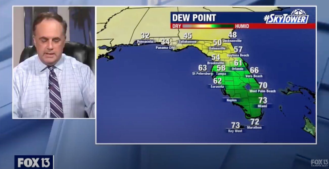 ゴールデンレトリーバー,動画