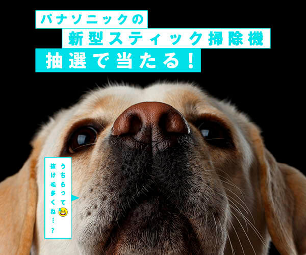 レトリーバー,パナソニック,掃除機,からまないブラシ