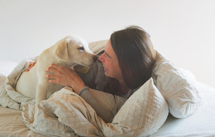 レトリーバー,マンボウやしろ