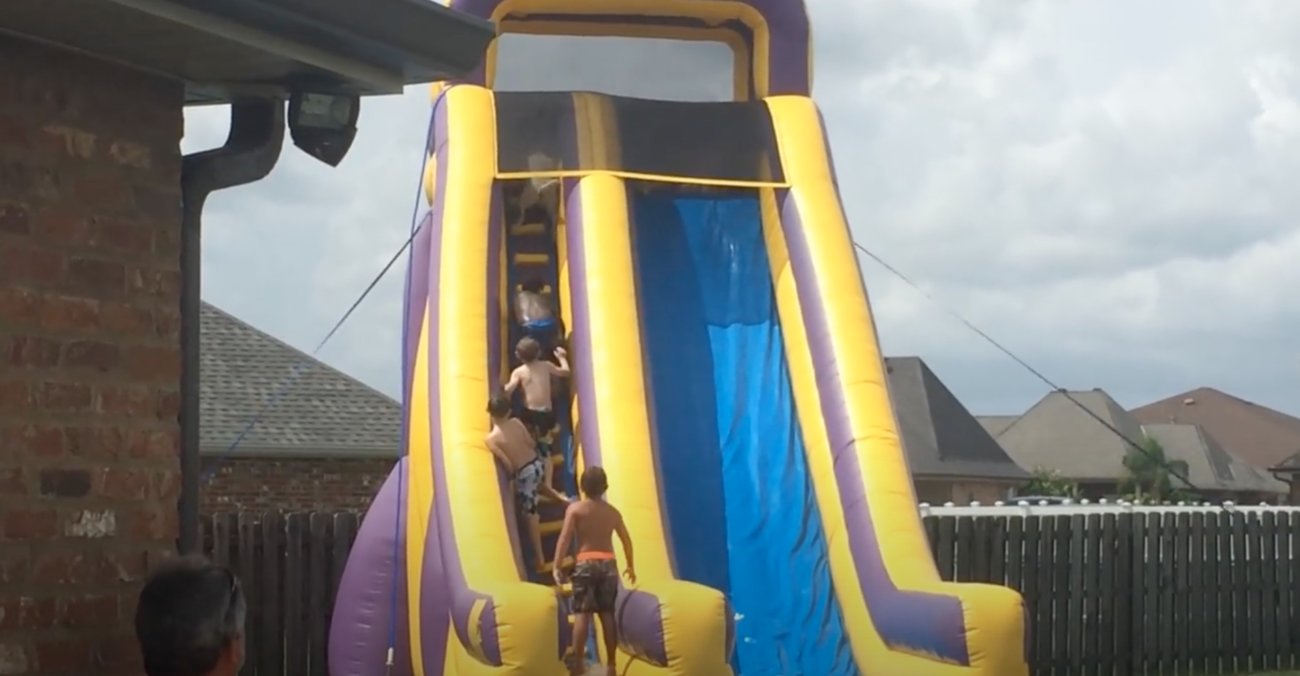 ラブラドールレトリーバー,動画