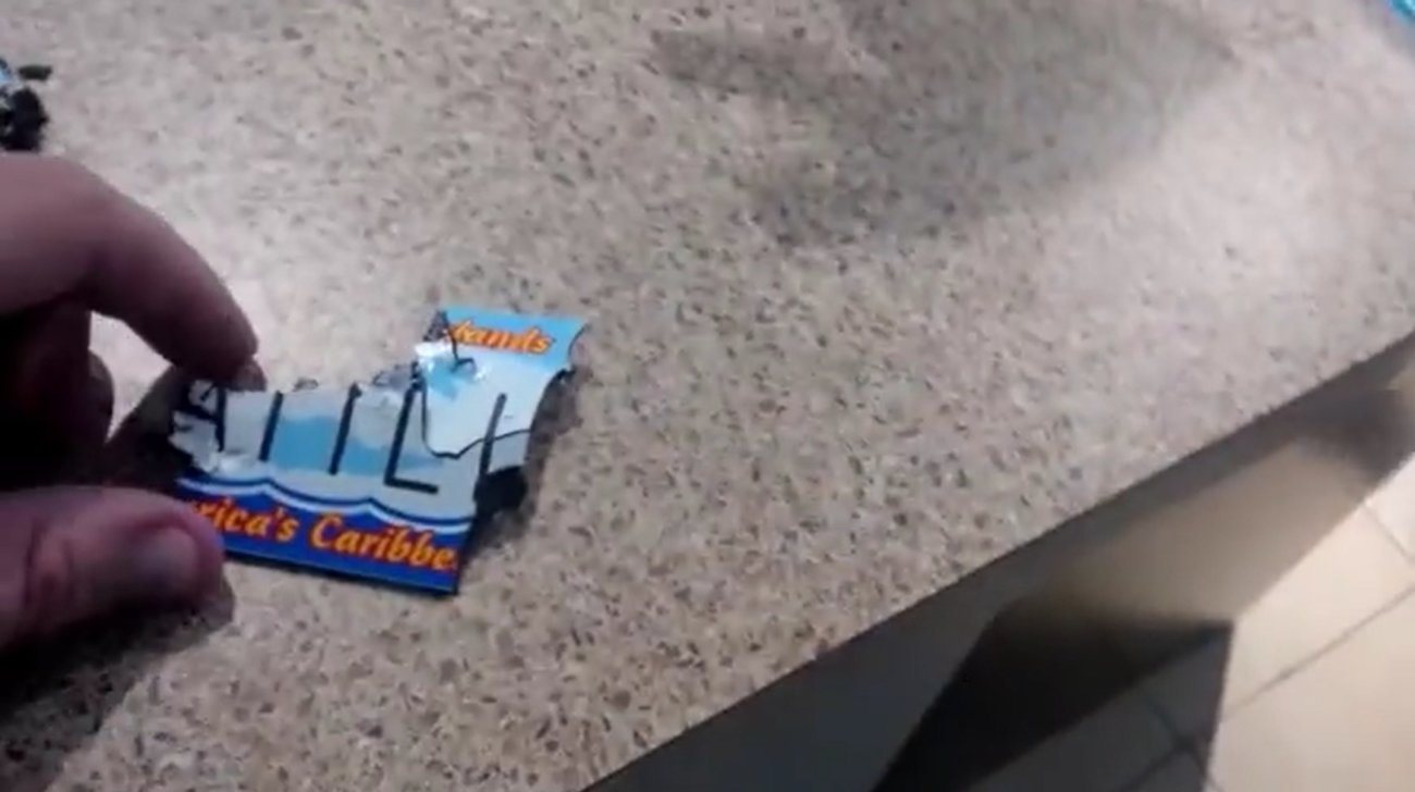 ゴールデンレトリーバー,動画