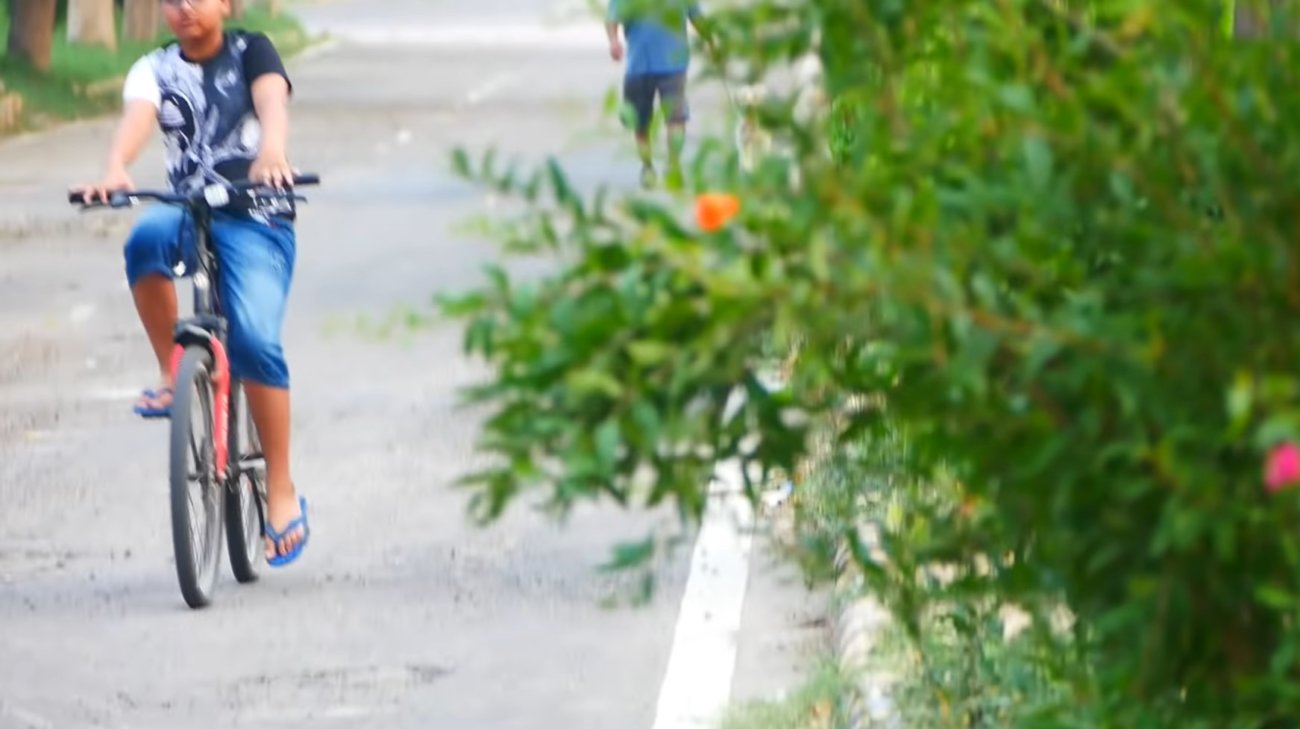 ラブラドールレトリーバー,動画