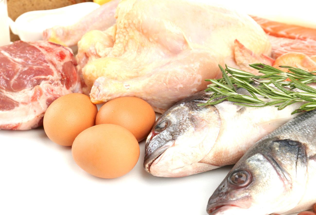 レトリーバー,オリジン,フード