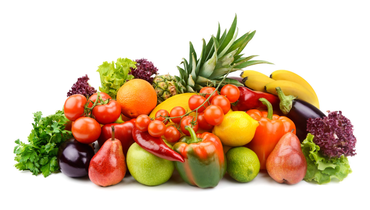 レトリーバー,オリジン,フード