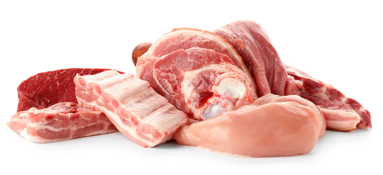 レトリーバー,オリジン,フード