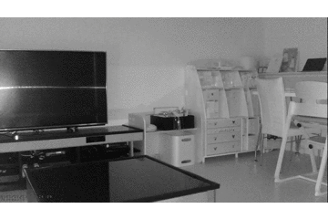 レトリーバー,パナソニック,見守りカメラ