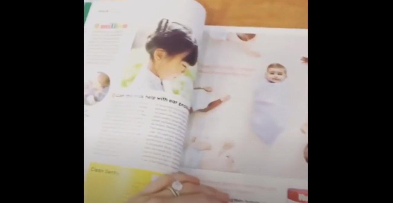 ラブラドールレトリーバー,動画