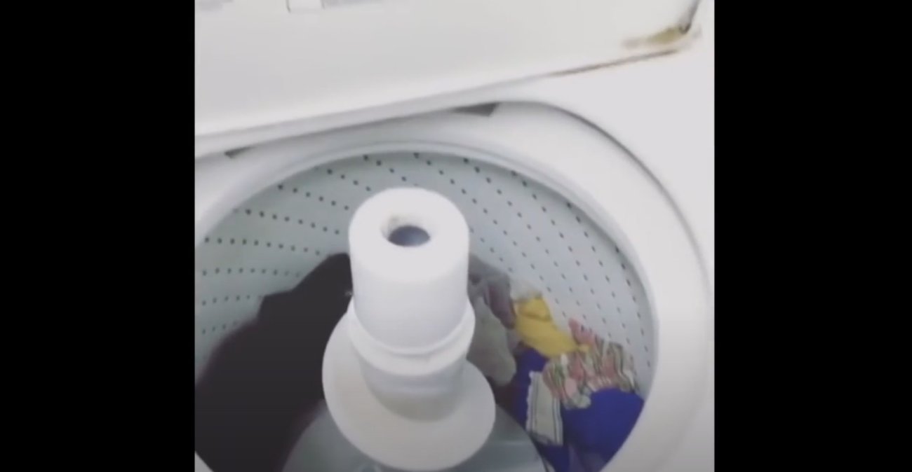 ラブラドールレトリーバー,動画