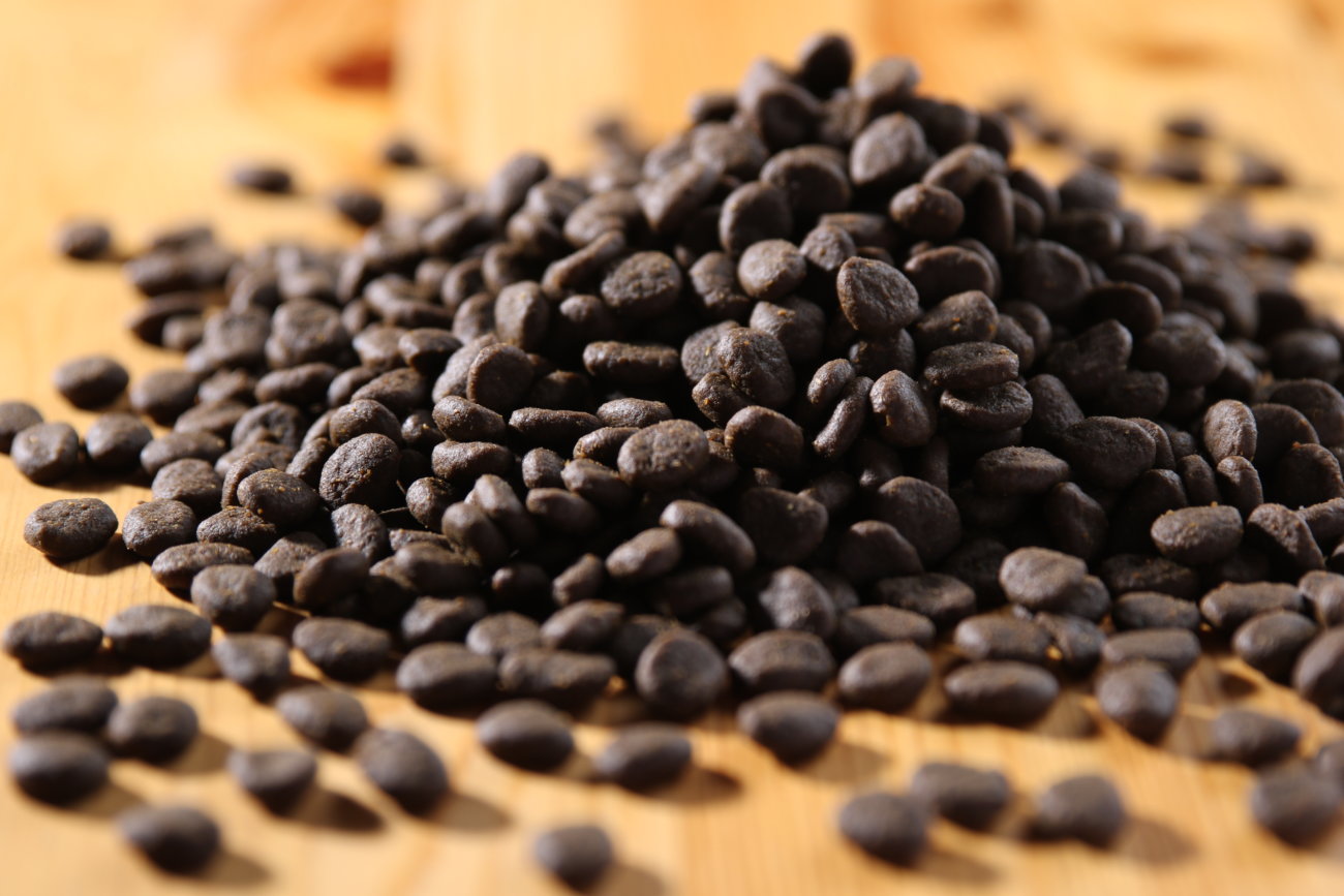 レトリーバー,オリジン,フード