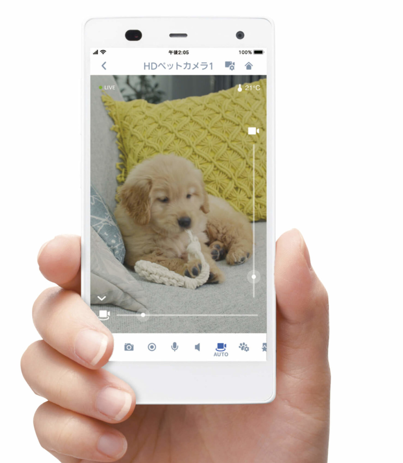 レトリーバー,パナソニック,見守りカメラ