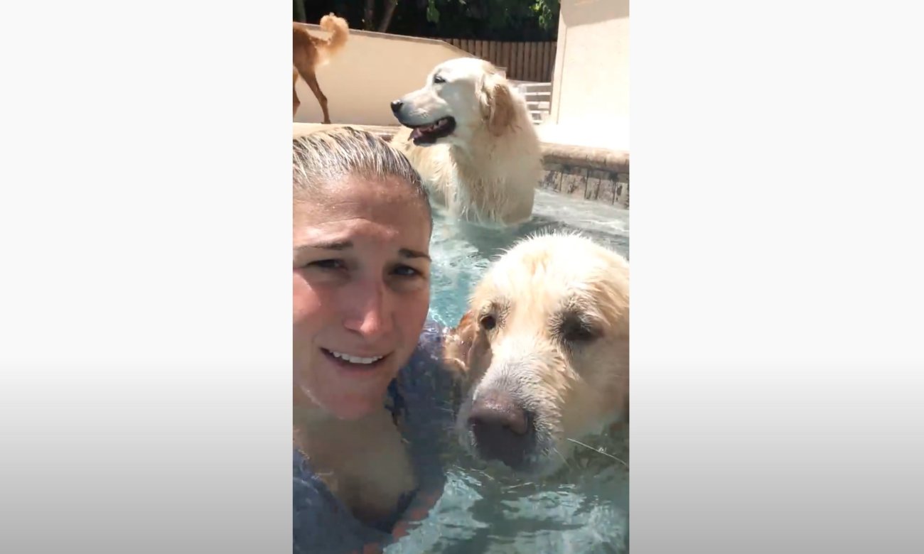 ゴールデンレトリーバー,動画