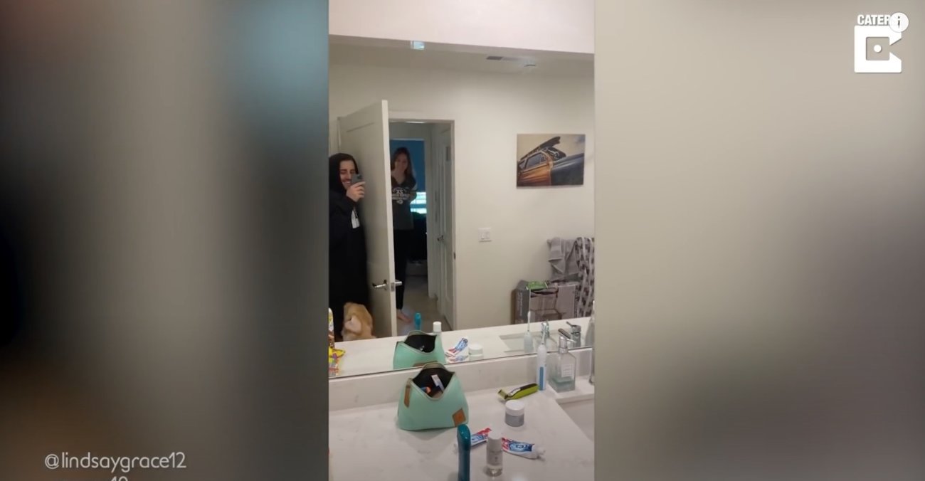 ゴールデンレトリーバー,動画